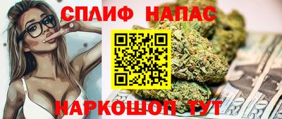 прущие грибы Мариинск