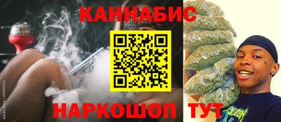 индика Малгобек