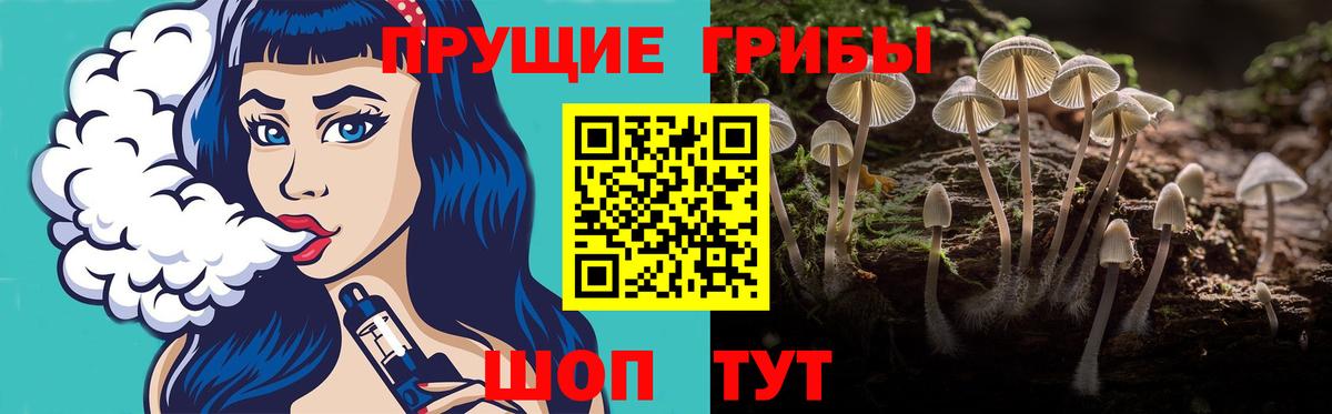 Псилоцибиновые грибы мухоморы Губкинский